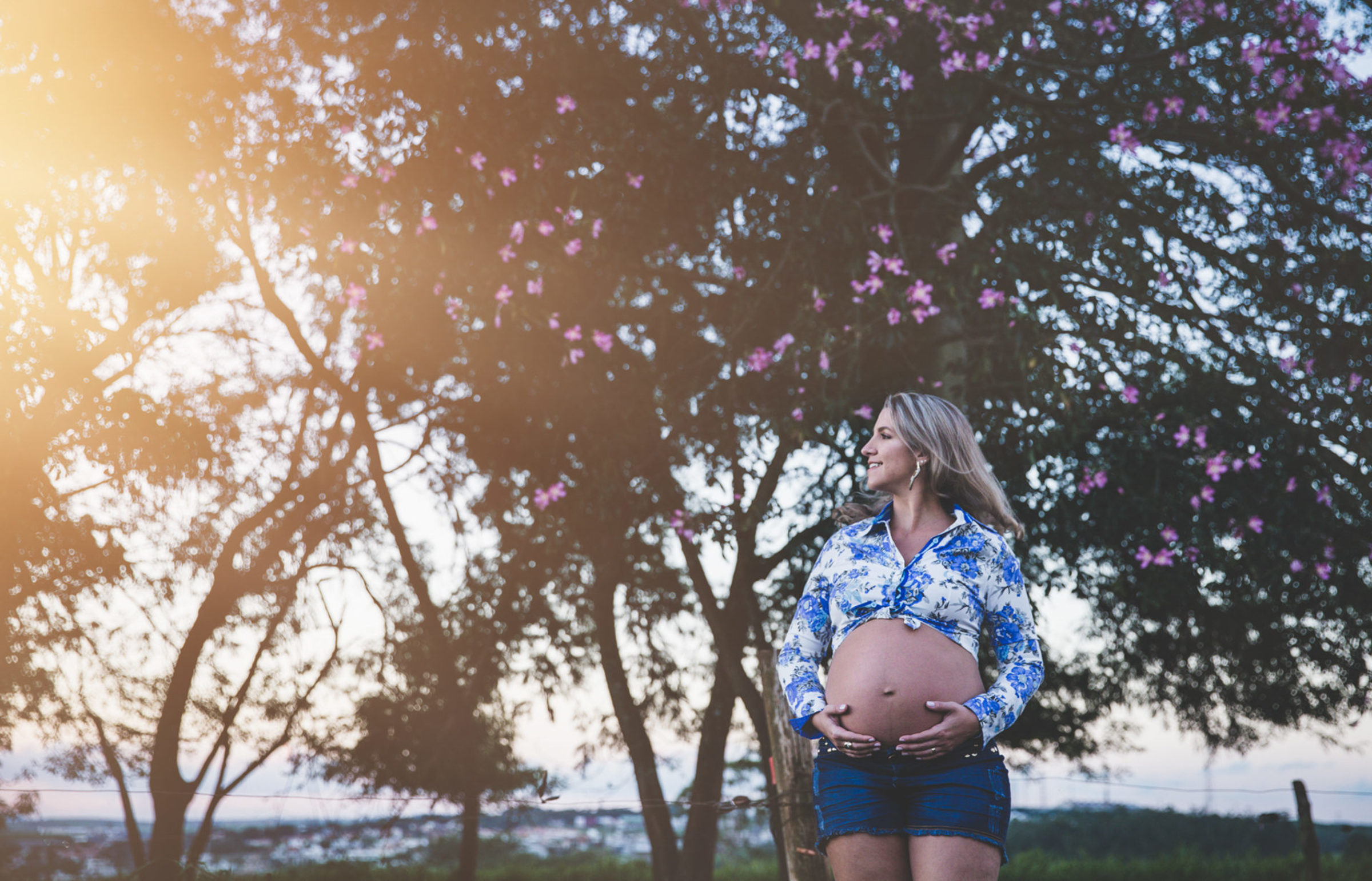 Foto de Michelle Jomaa Photo 45